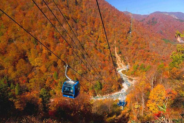 【北九州空港発】 4つの遊覧を愉しむ!上越5つの紅葉めぐり3日間3